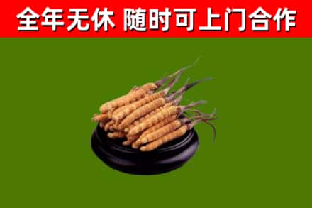 安顺市烟酒回收冬虫夏草.jpg